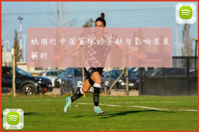姚明对中国篮球的贡献与影响深度解析